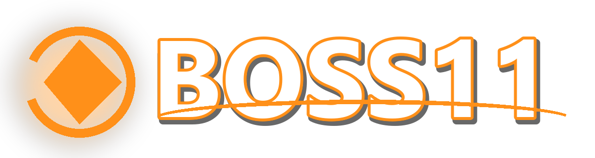 BOSS11